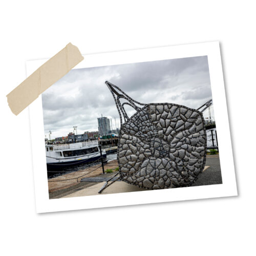 photograph of public art installation 'Nomad 2' by Beatriz Cortez. A whale vertebrae in Boston Harbor